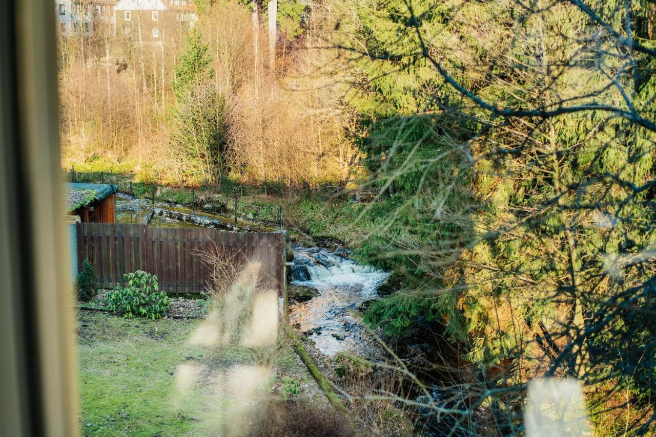 Ferienwohnung Kiefer Braunlage Exterior foto